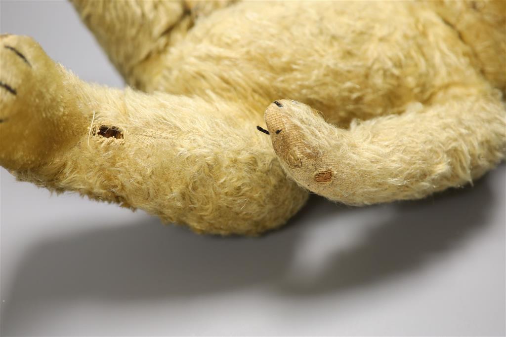 A mid 1920s Teddy Bear with photo of original owner